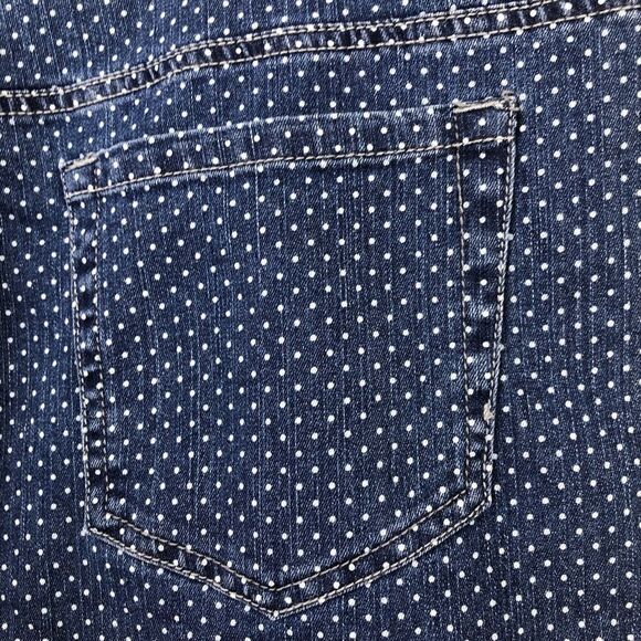 NWT Gloria Vanderbilt Amanda Tummy Slimmer Stretch Tapered 22W Short Jeans!! - Picture 13 of 13